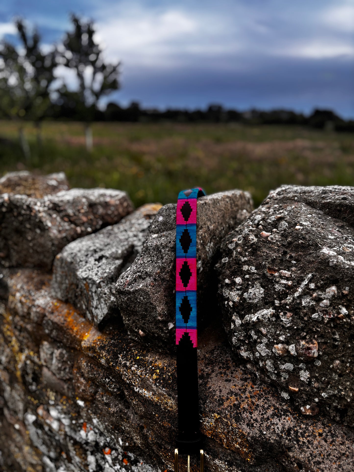 Polo Belt Pink & Blue